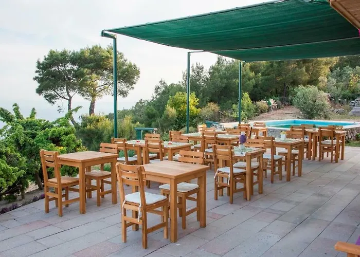 Farmidaya Biotel 쿠카쿠유