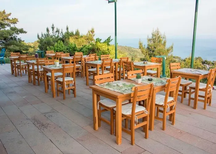 Farmidaya Biotel 팜스테이