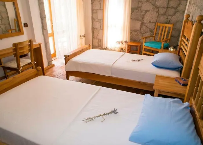 Farmidaya Biotel 팜스테이 쿠카쿠유