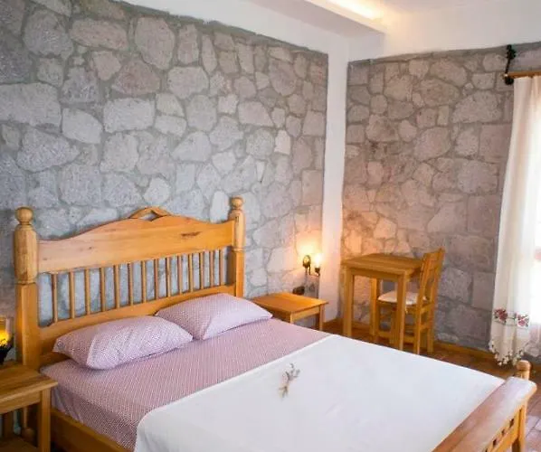 Farmidaya Biotel * 쿠카쿠유