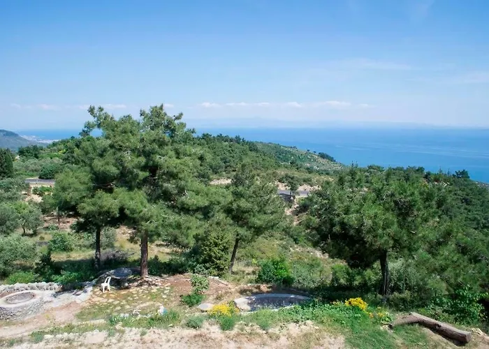 Farmidaya Biotel 팜스테이