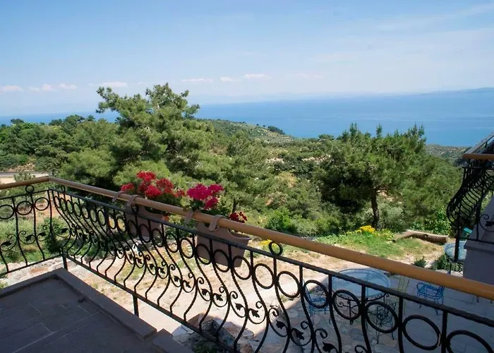 Farmidaya Biotel * 쿠카쿠유