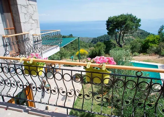 Farmidaya Biotel * 쿠카쿠유